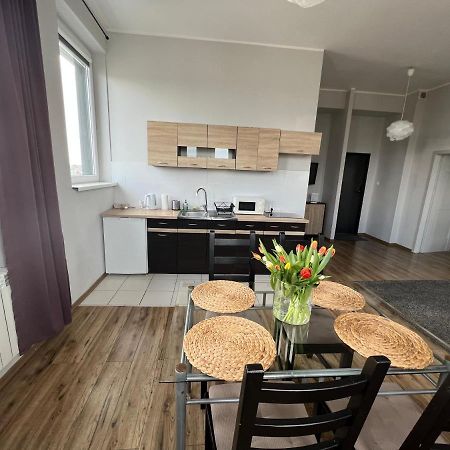 Business Center Apartment Skierniewice Ngoại thất bức ảnh
