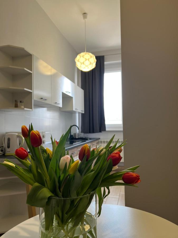 Business Center Apartment Skierniewice Ngoại thất bức ảnh