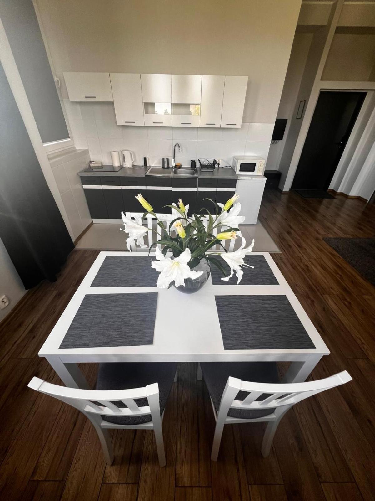 Business Center Apartment Skierniewice Ngoại thất bức ảnh